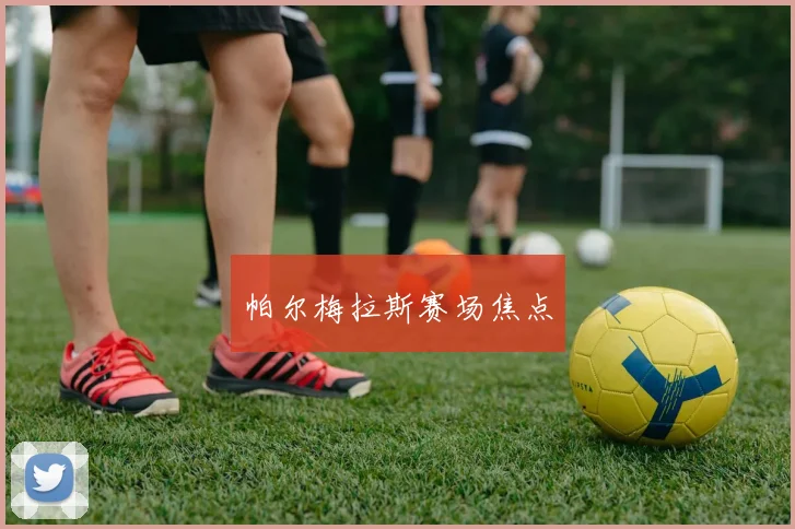 帕尔梅拉斯赛场焦点