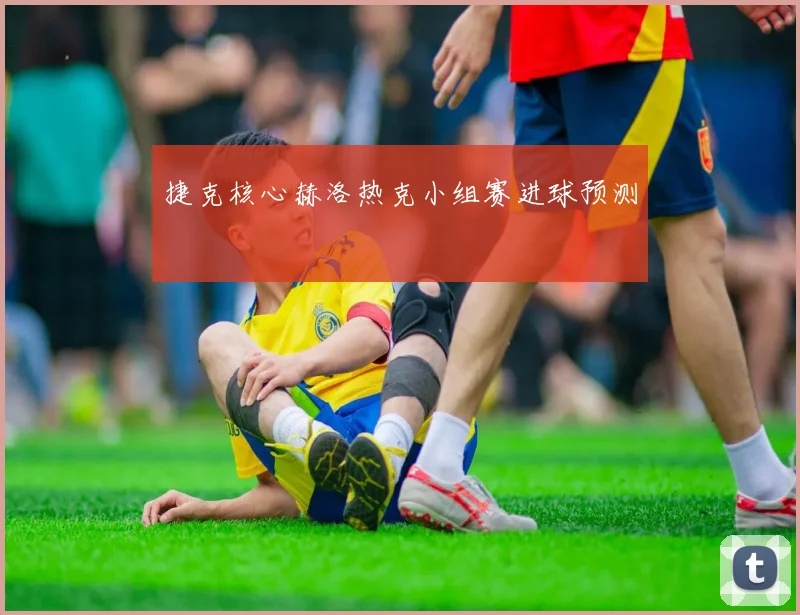 捷克核心赫洛热克小组赛进球预测