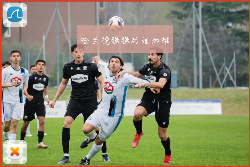 哈兰德强强对话加维