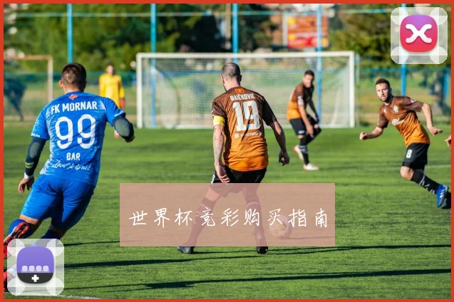 世界杯竞彩购买指南