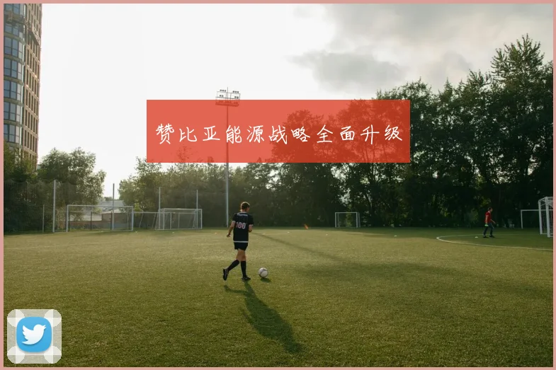 赞比亚能源战略全面升级