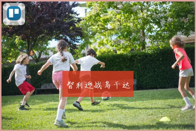 智利迎战乌干达