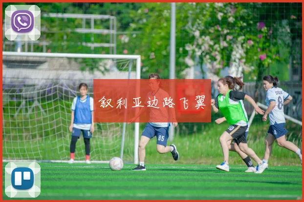 叙利亚边路飞翼