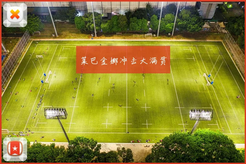 莱巴金娜冲击大满贯