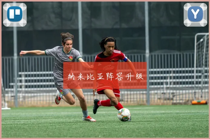 纳米比亚阵容升级