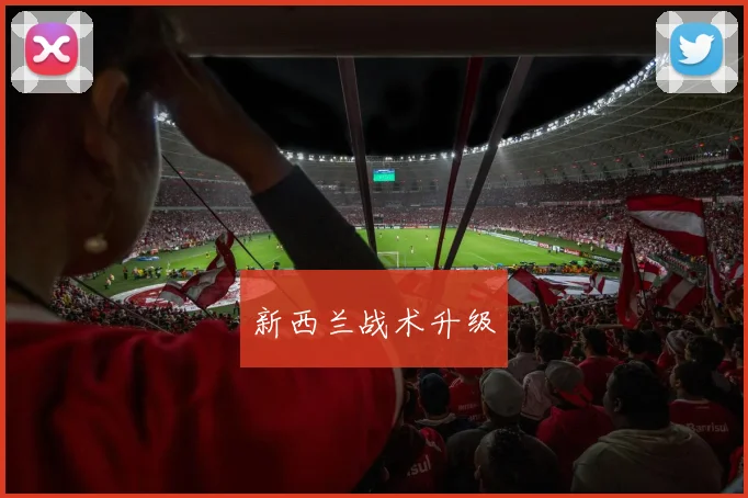 新西兰战术升级