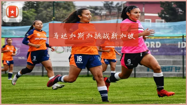 马达加斯加挑战新加坡