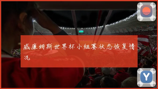 威廉姆斯世界杯小组赛状态恢复情况