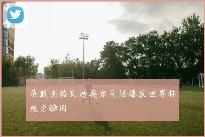 范戴克格瓦迪奥尔同场爆发世界杯绝杀瞬间
