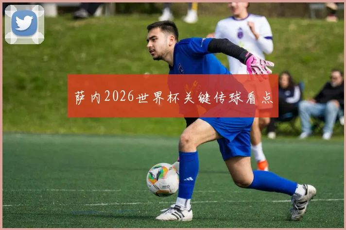 萨内2026世界杯关键传球看点