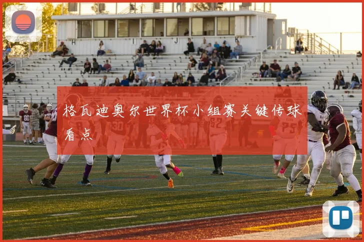 格瓦迪奥尔世界杯小组赛关键传球看点