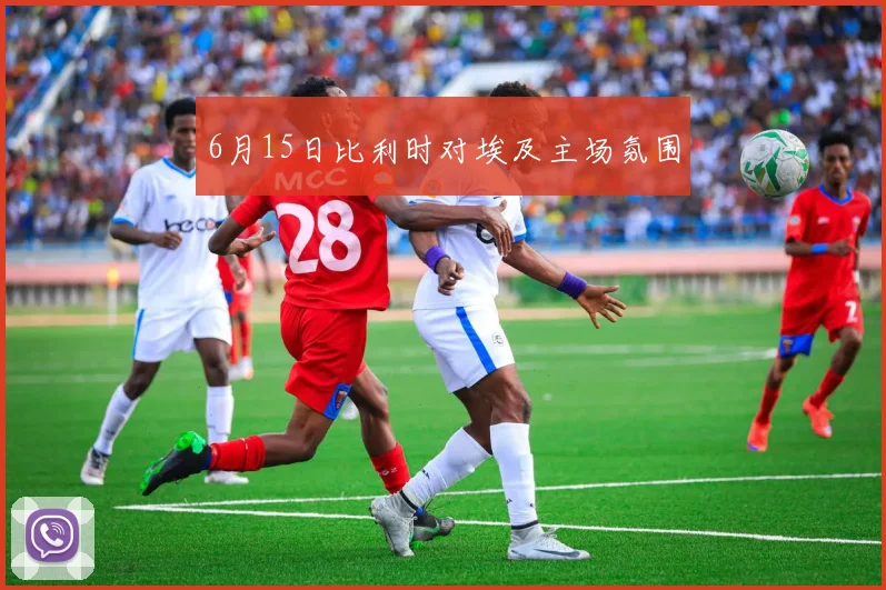 6月15日比利时对埃及主场氛围