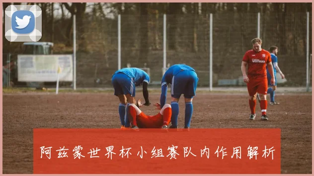 阿兹蒙世界杯小组赛队内作用解析
