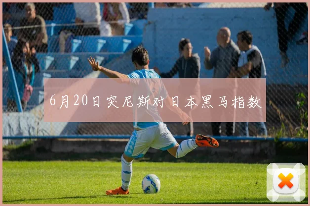 6月20日突尼斯对日本黑马指数